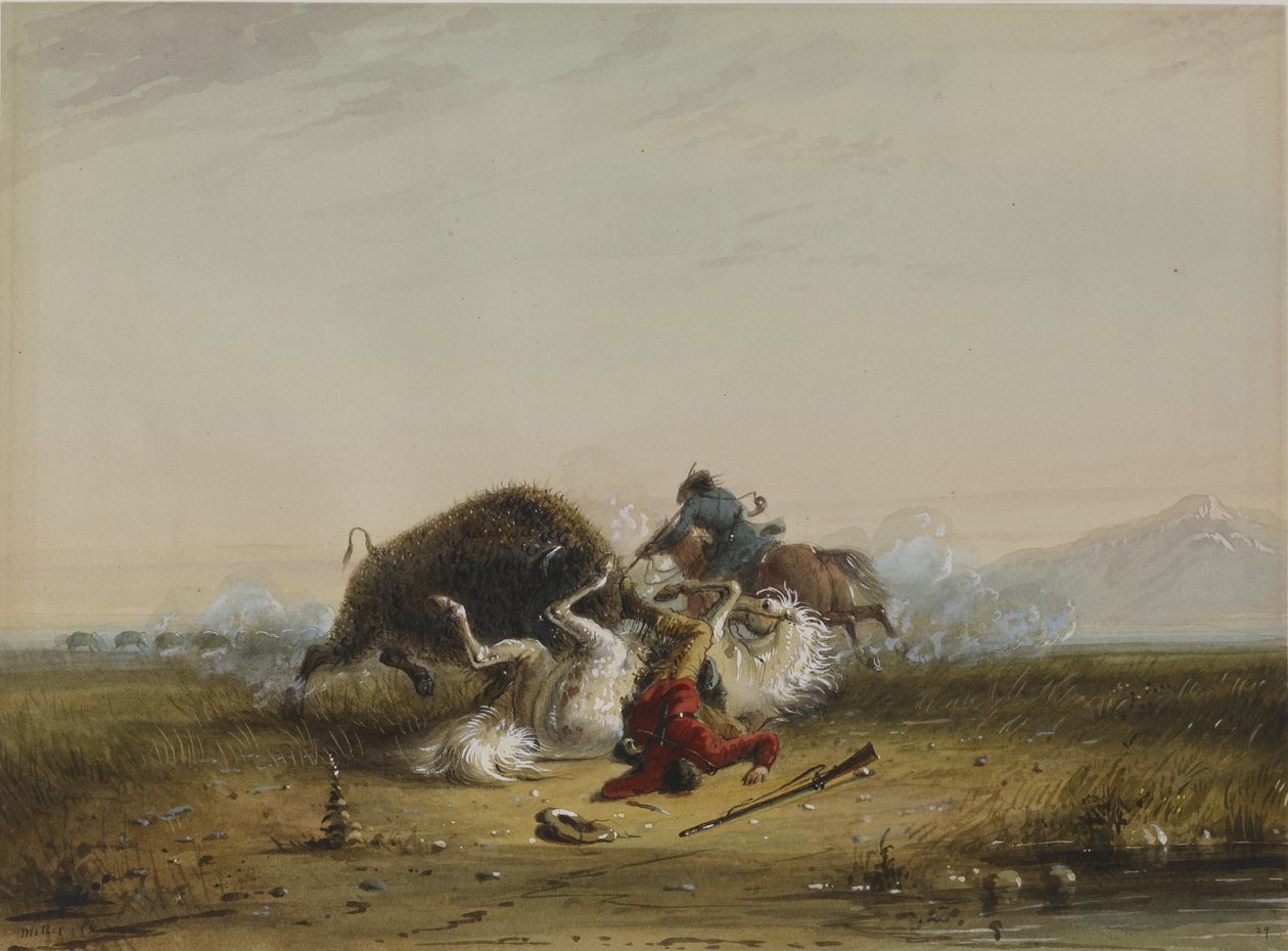 Pierre a bizon od Alfred Jacob Miller