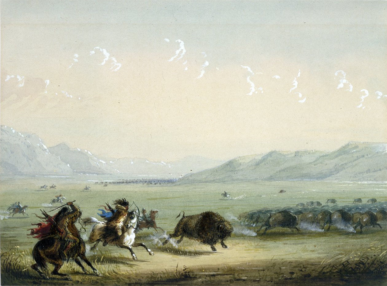 Běžící bizon od Alfred Jacob Miller