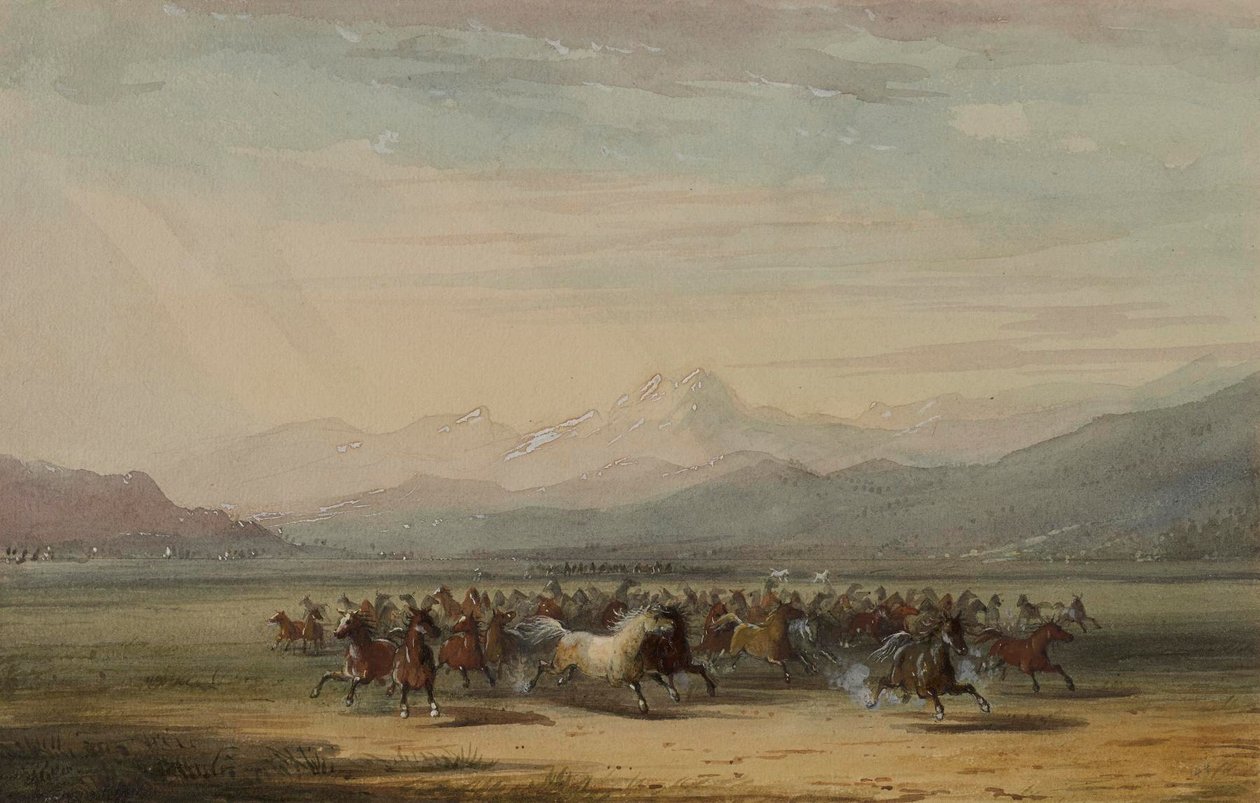 Stampede divokých koní od Alfred Jacob Miller