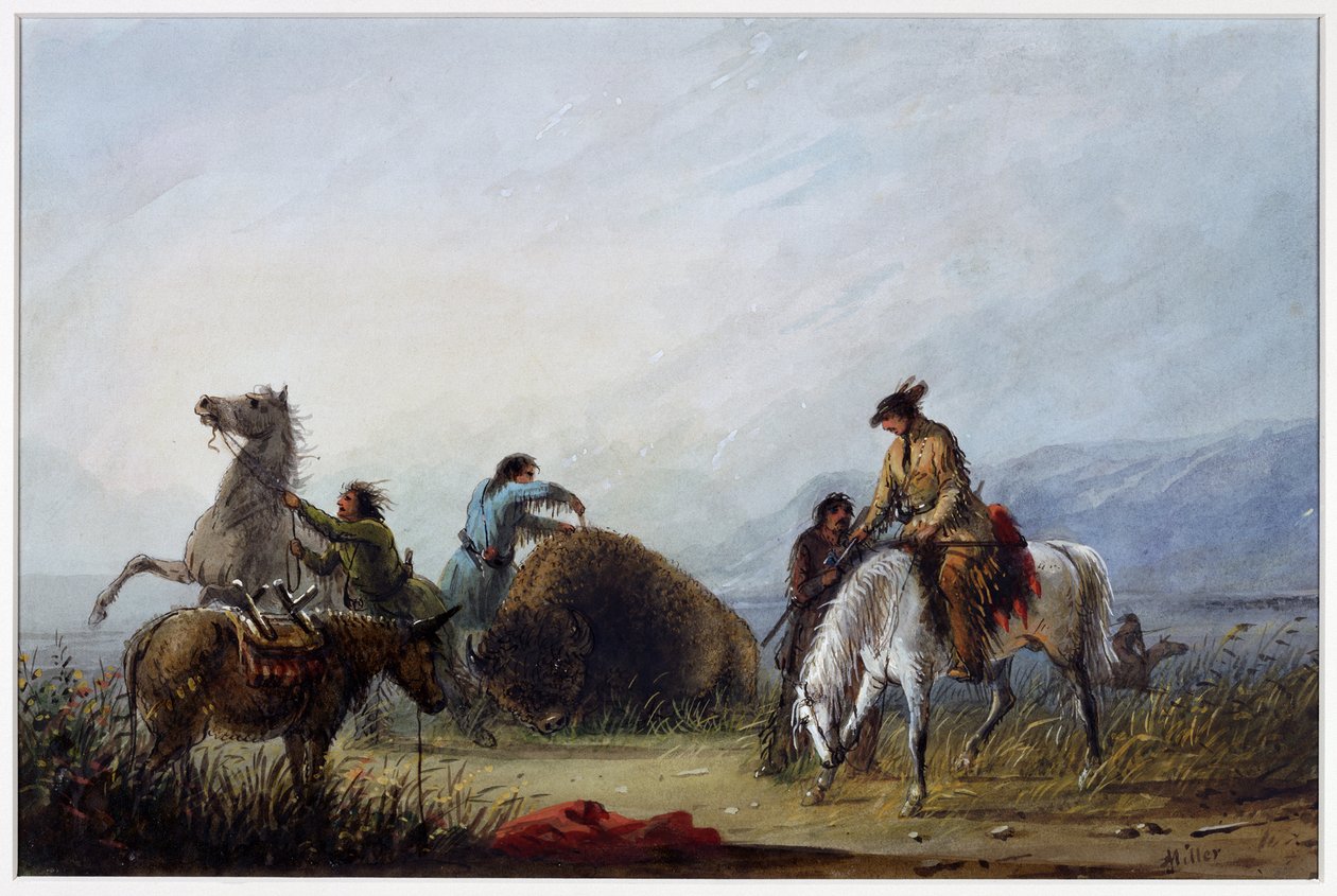 Příprava žebra „Hump Rib“ od Alfred Jacob Miller