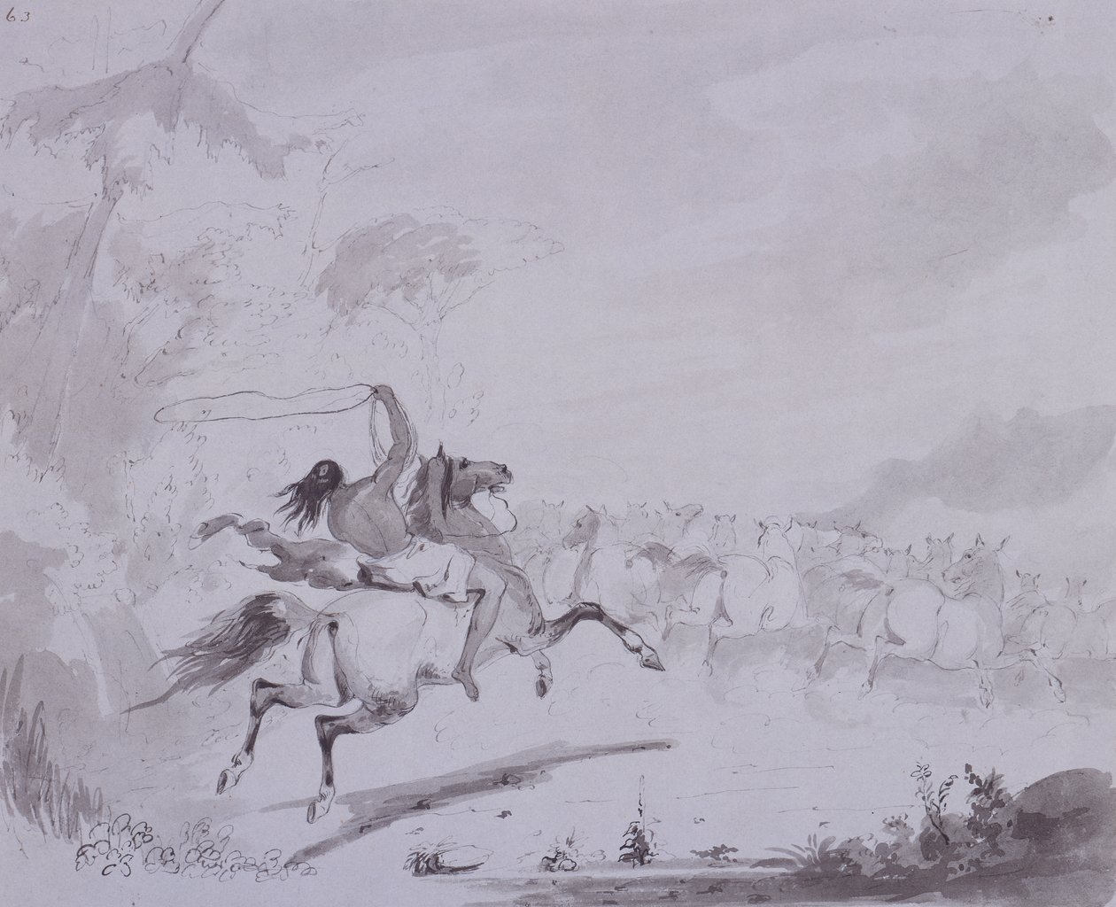 Throwing the Lasso, c.1837 (pero a inkoust s šedou barvou na šedé kartě) od Alfred Jacob Miller