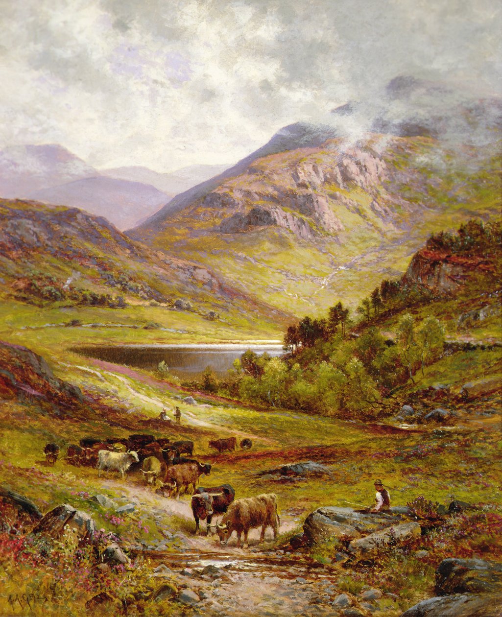 Longhorn dobytek v hornaté krajině od Alfred Jr. Glendening