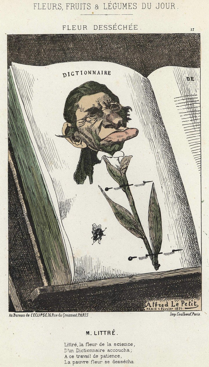 Déséchée flower: karikatura na Littré - ill. od 01.02.1871 v „Květiny, ovoce a zelenina dne“ od Alfred Le Petit