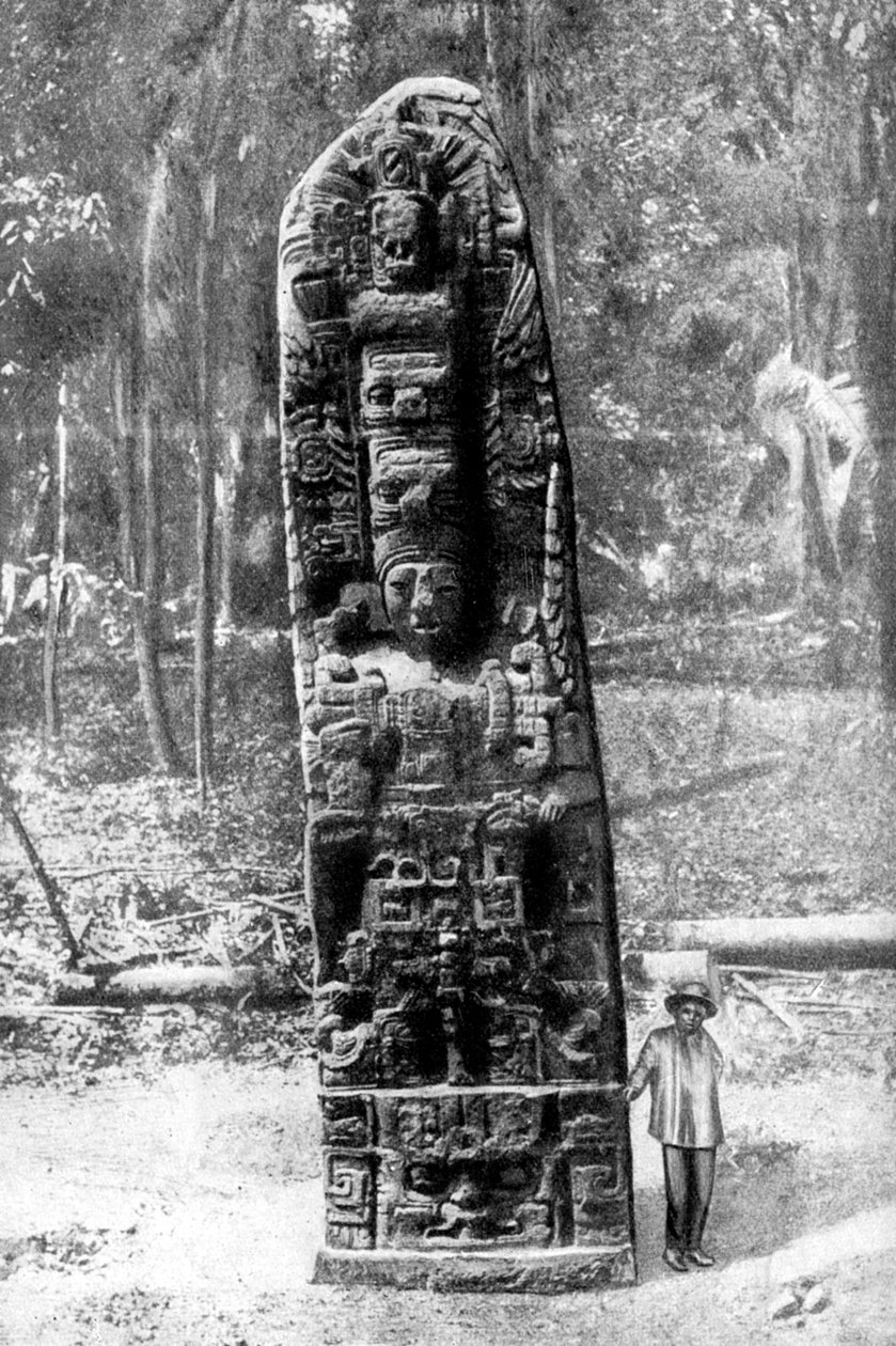 Tajemný monolit v pralese Quirigua, Guatemala, 1922. od Alfred P Maudsley