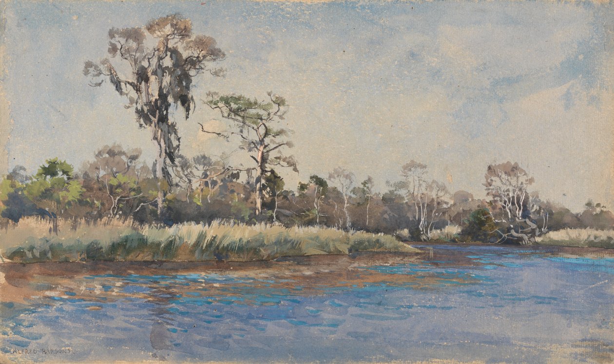 A Creek ve Wilmingtonu, NC od Alfred Parsons