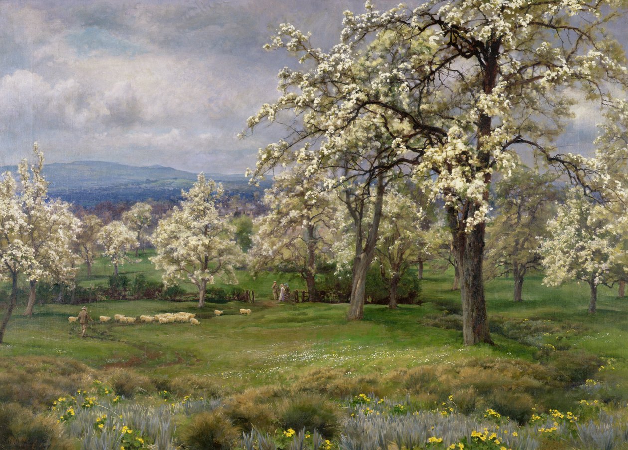 Hruškový sad, kolem roku 1903 od Alfred Parsons
