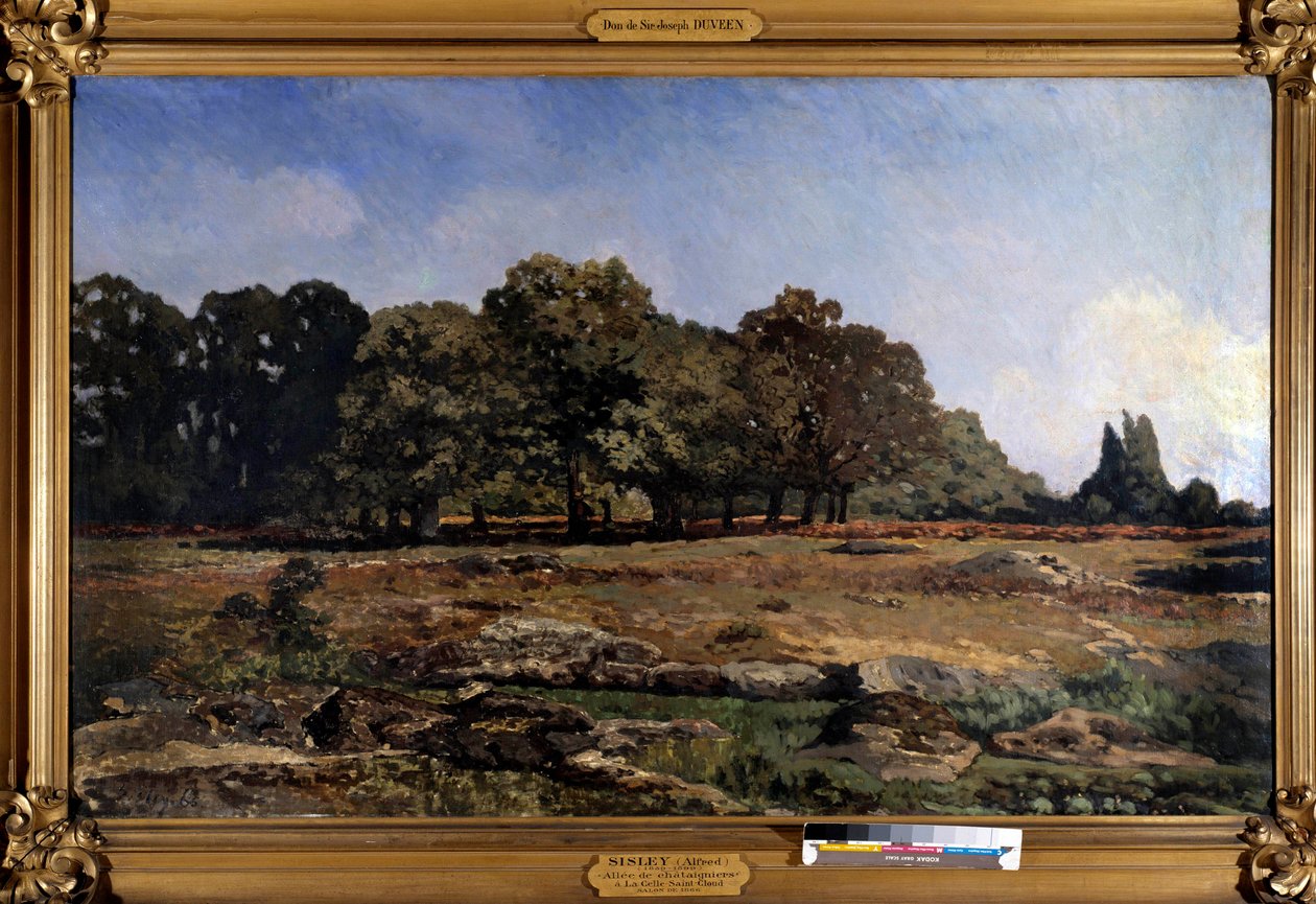 Alej kaštanů do Celle saint Cloud od Alfreda Sisleyho (1839-1899) 1865 od Alfred Sisley