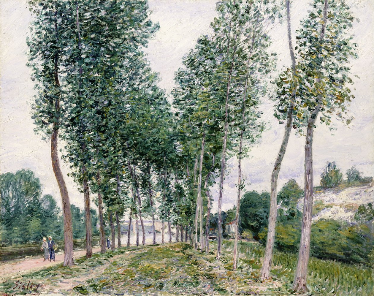 Alej topolů podél Loing, 1892 od Alfred Sisley