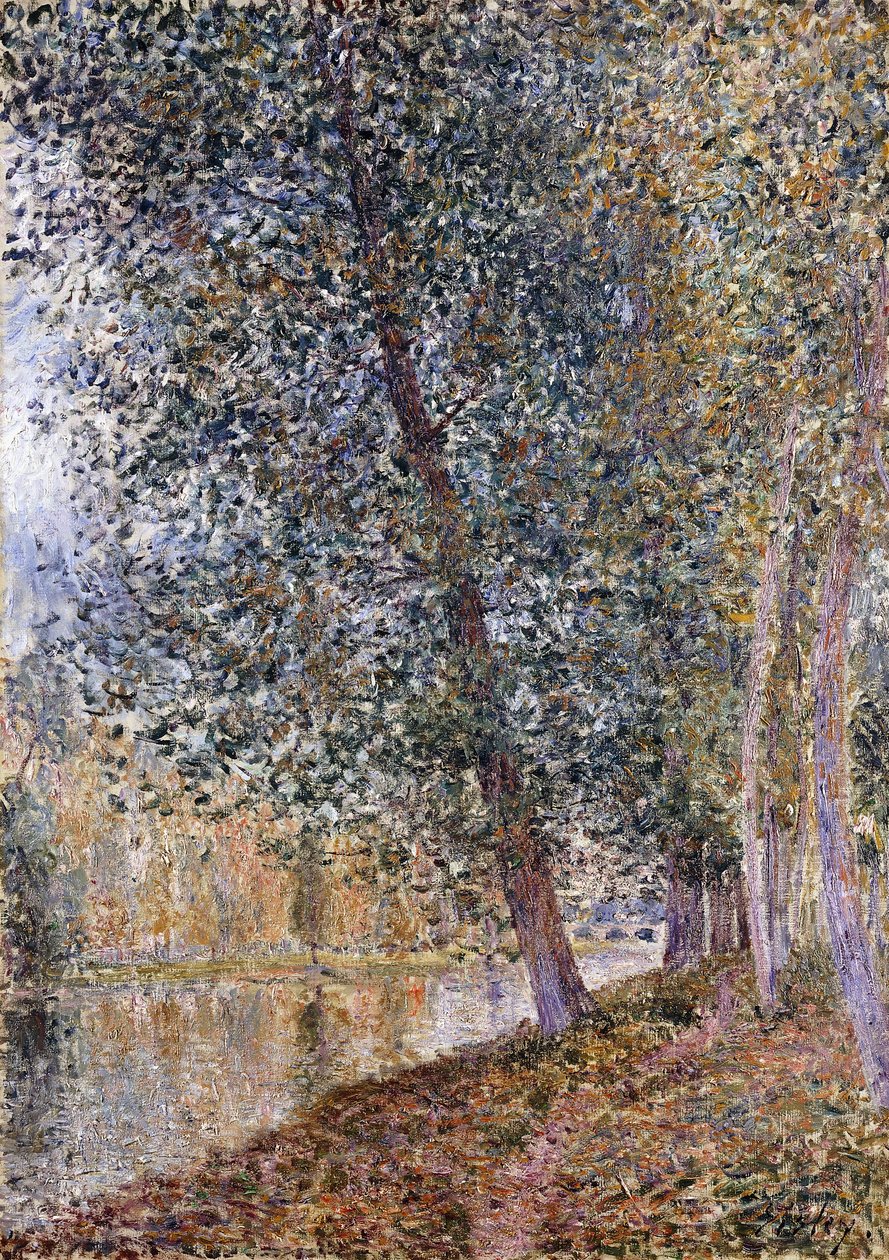 Podzim, břehy Loingu; L" Autumne, Bords du Loing, 1880 od Alfred Sisley