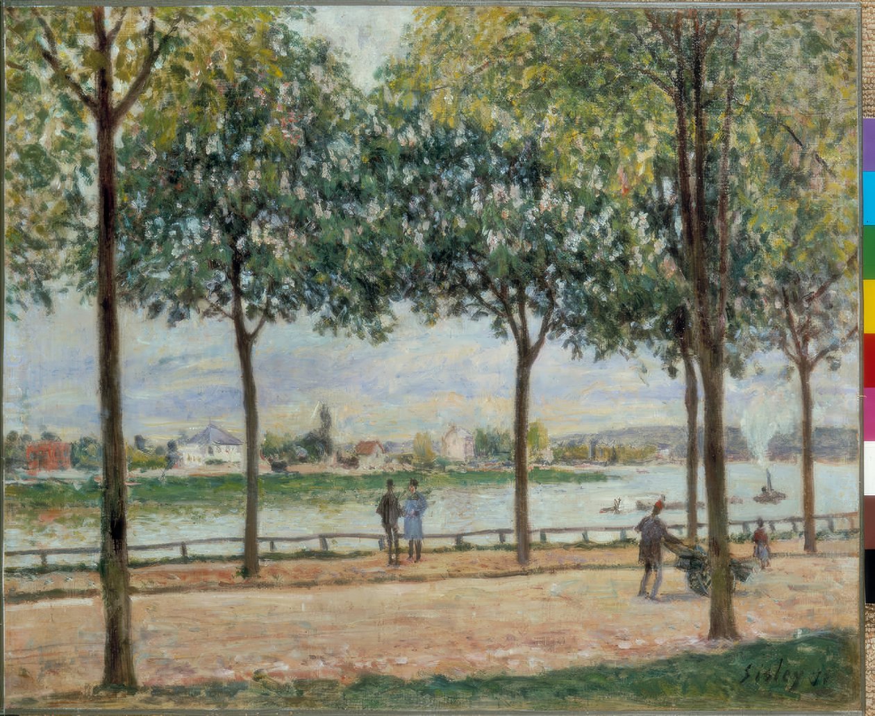 Kaštanová promenáda od Alfred Sisley