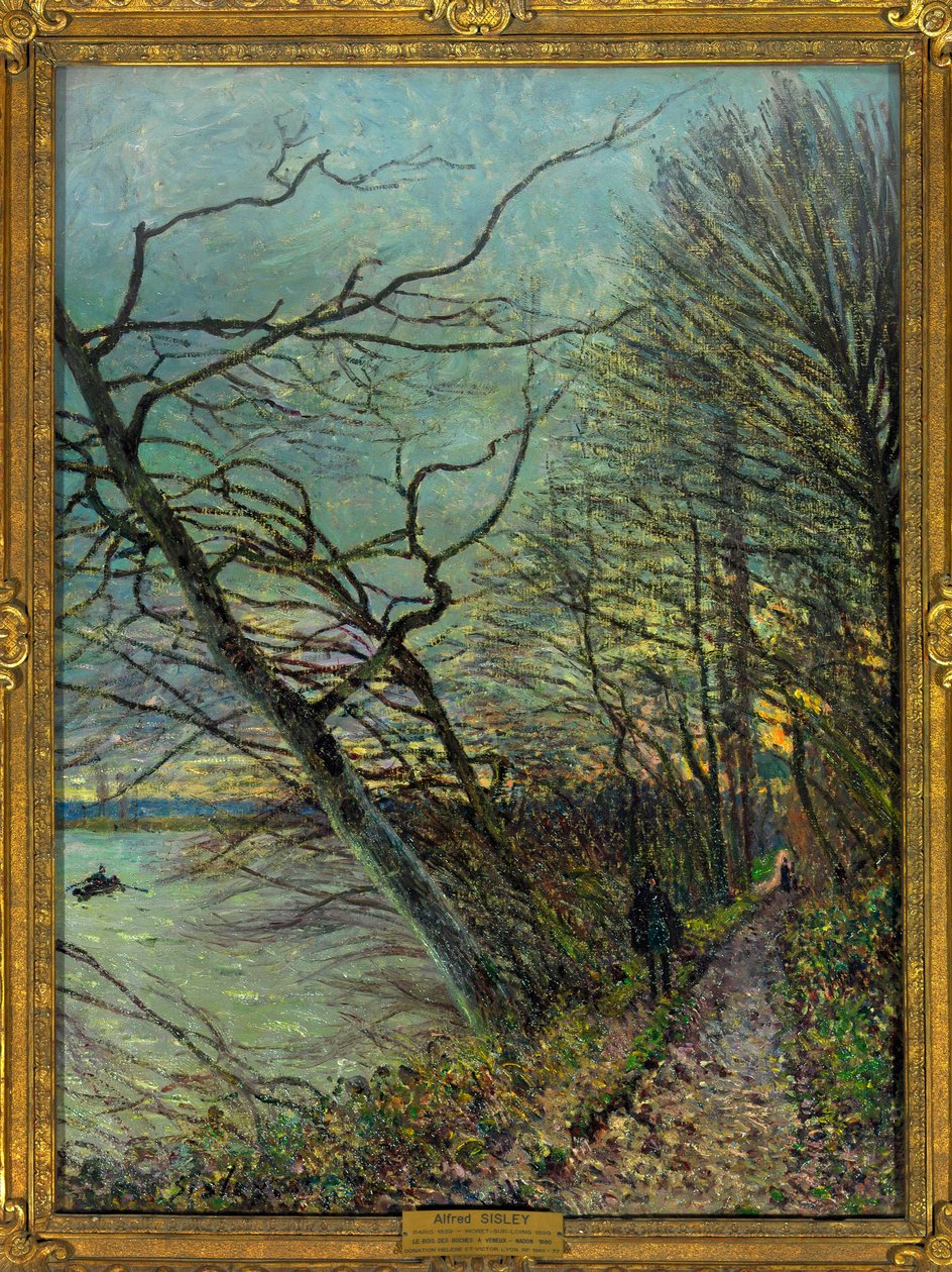 Bois des Roches, Veneux - Nadon (Veneux-les-Sablons), Seine et Marne Malba Alfreda Sisleyho (1839-1899) 1880 Rozměr 0,73 x 0,55 m Paris Louvre museum Povinná zmínka: Dar Helene a Victor Lyon od Alfred Sisley