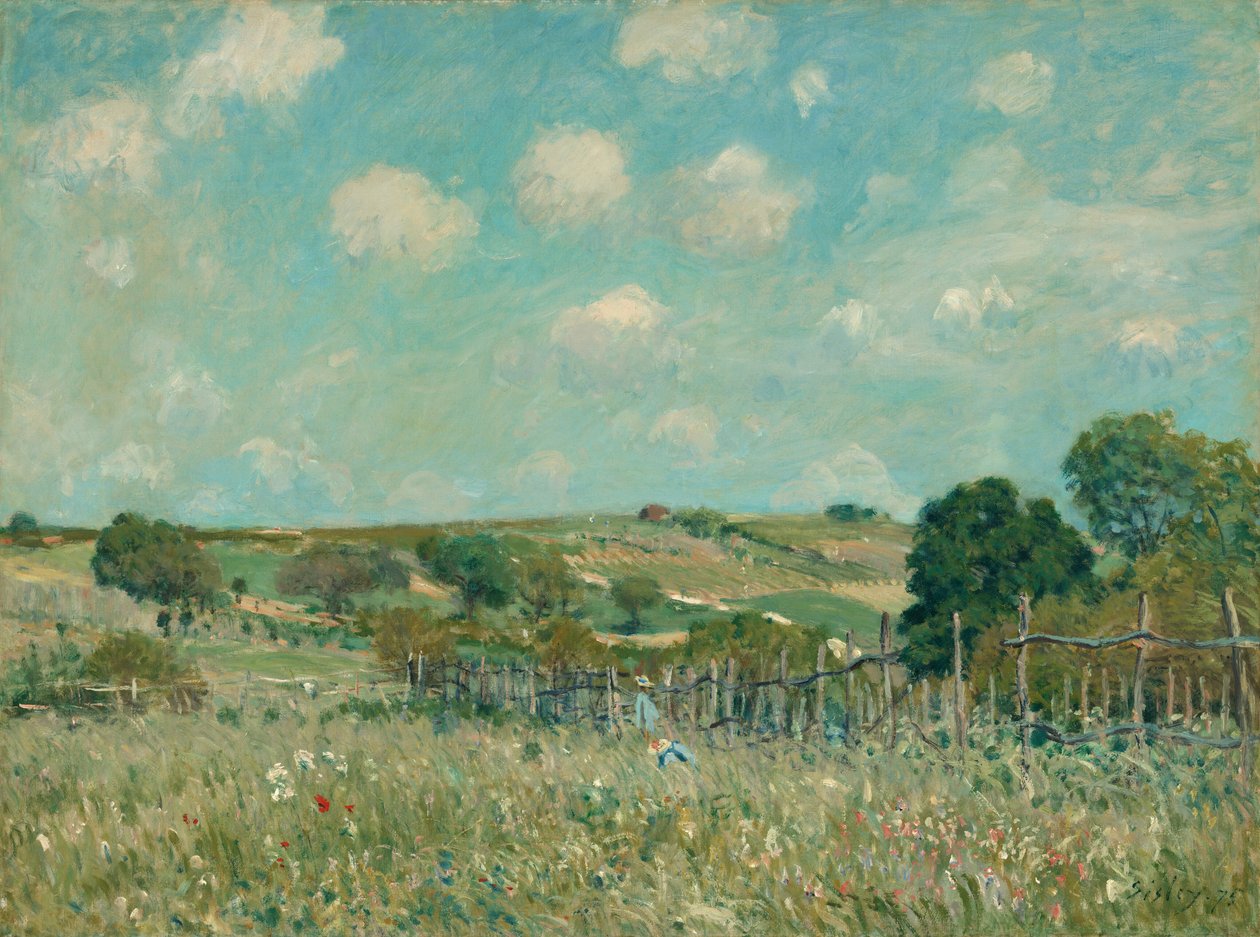 Louka, 1875. od Alfred Sisley