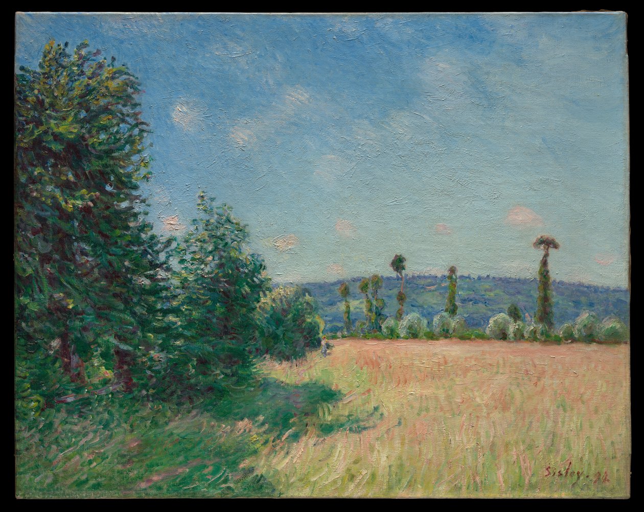 Louky v Sahurs v ranním slunci od Alfred Sisley