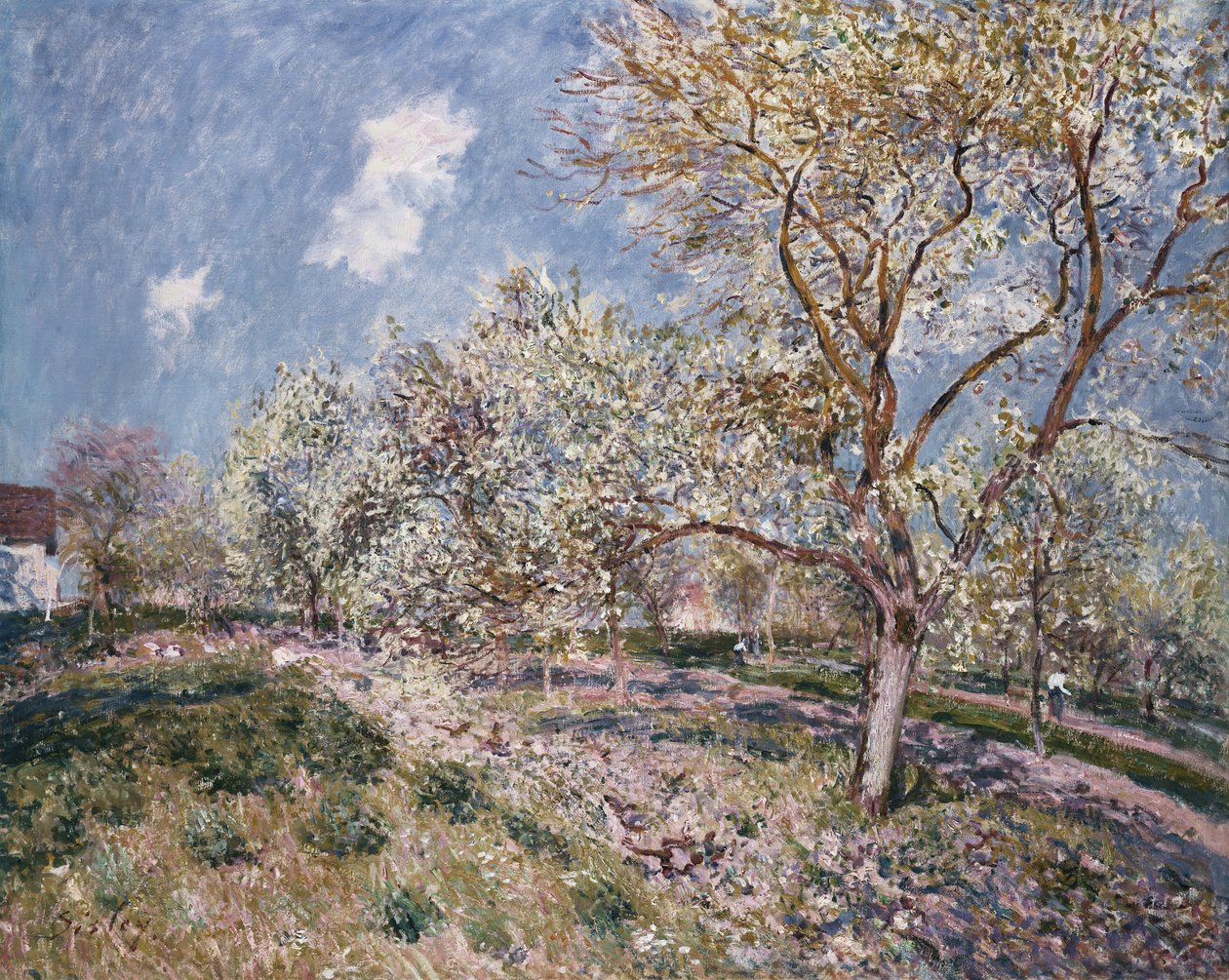 Jaro ve Veneux, 1880 od Alfred Sisley