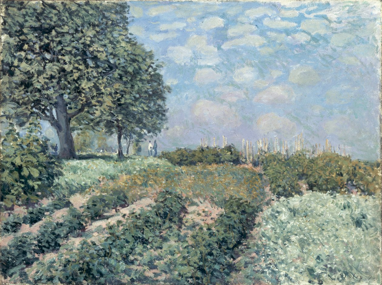 Market Gardens od Alfred Sisley