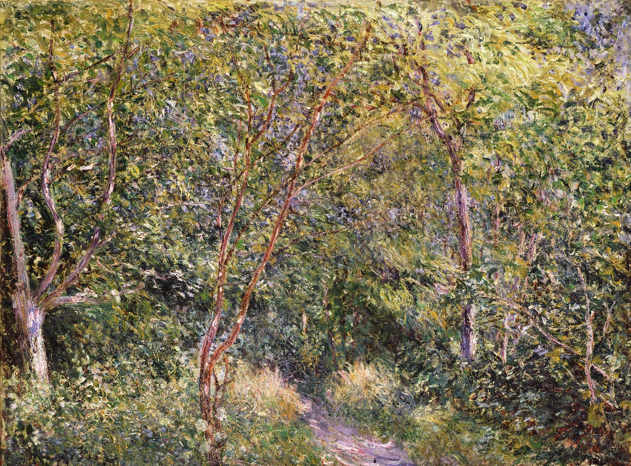Neznámý obrázek od Alfred Sisley