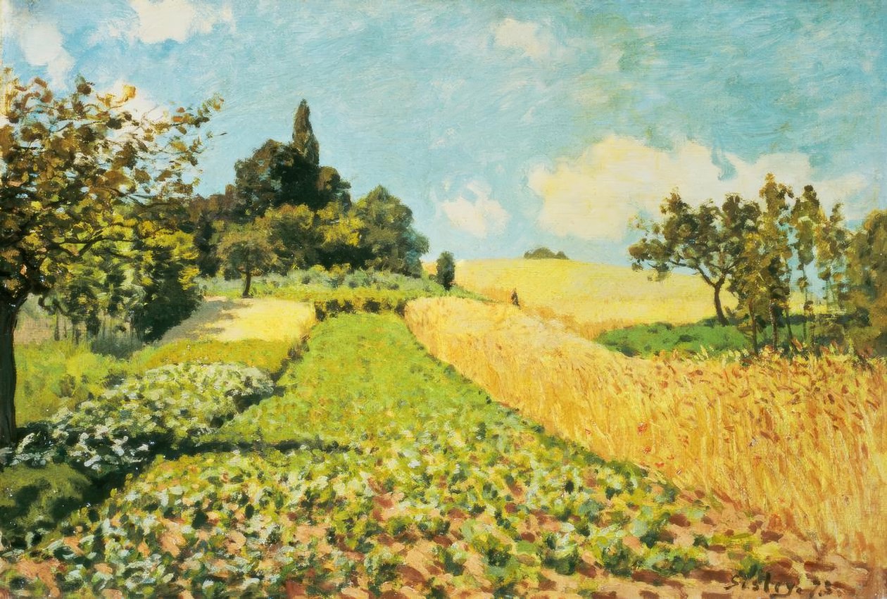 Pšeničné pole od Alfred Sisley