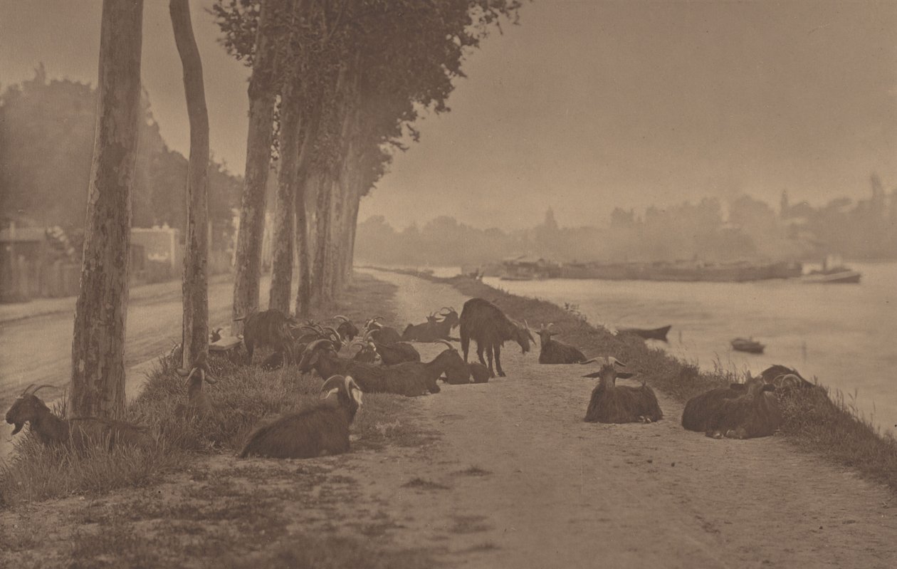 Dekorativní panel od Alfred Stieglitz