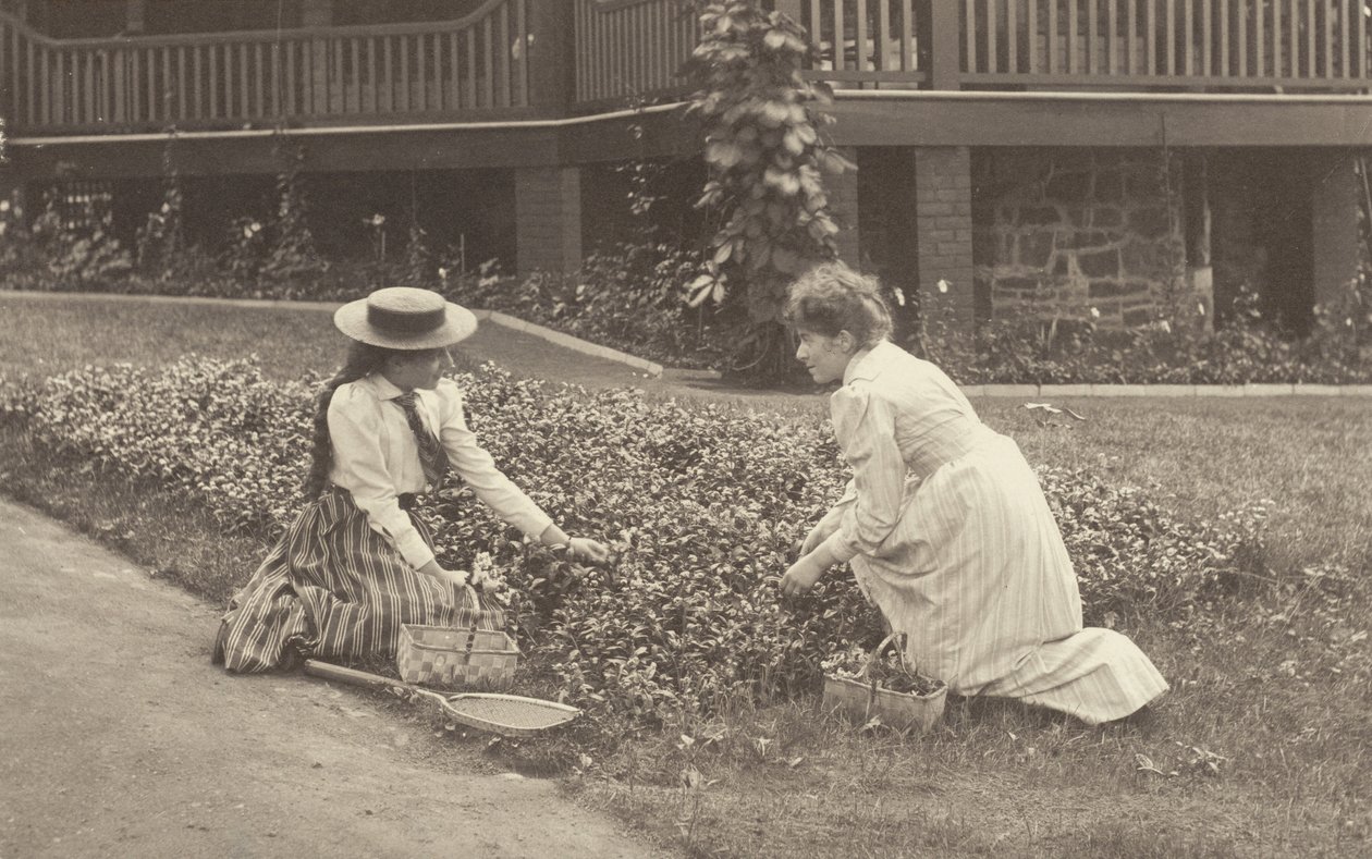Květinový záhon v Oaklawnu od Alfred Stieglitz
