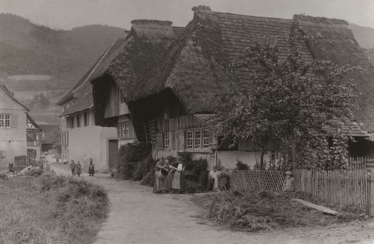 Setkání v Gutachu od Alfred Stieglitz