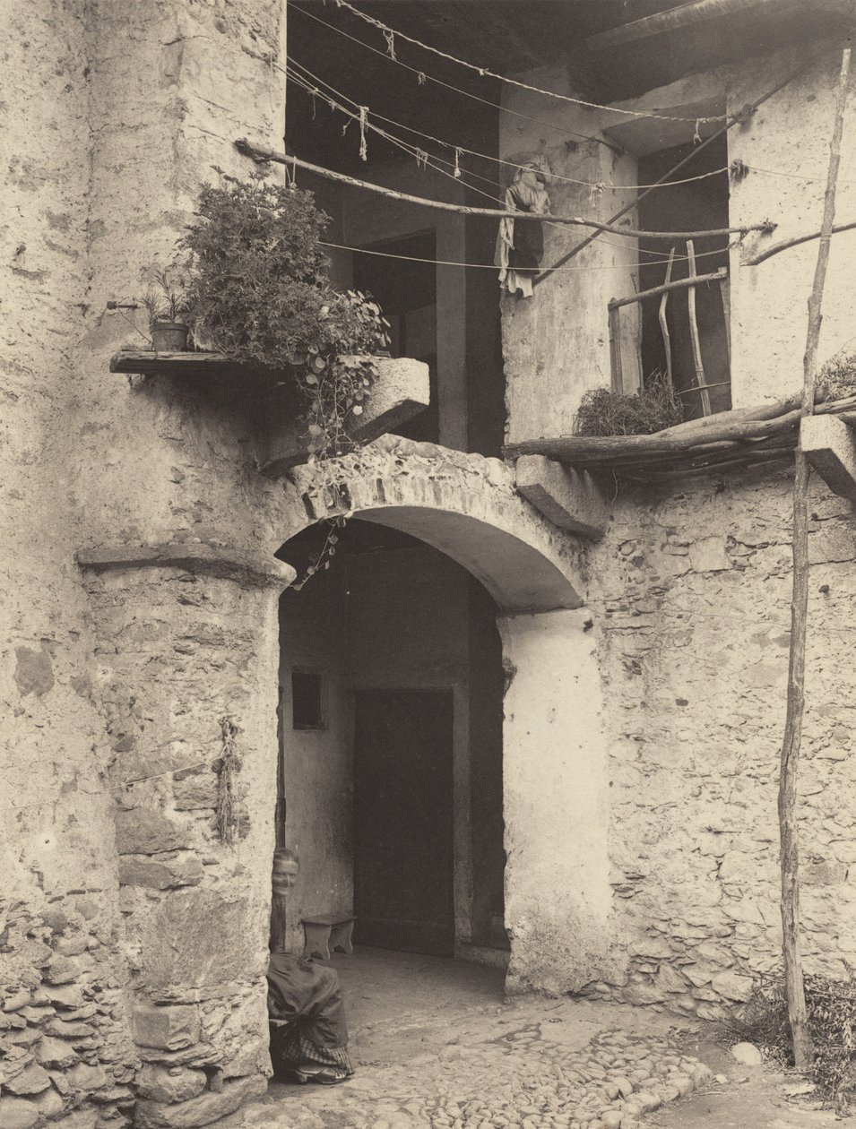 Kout v Pallanze od Alfred Stieglitz