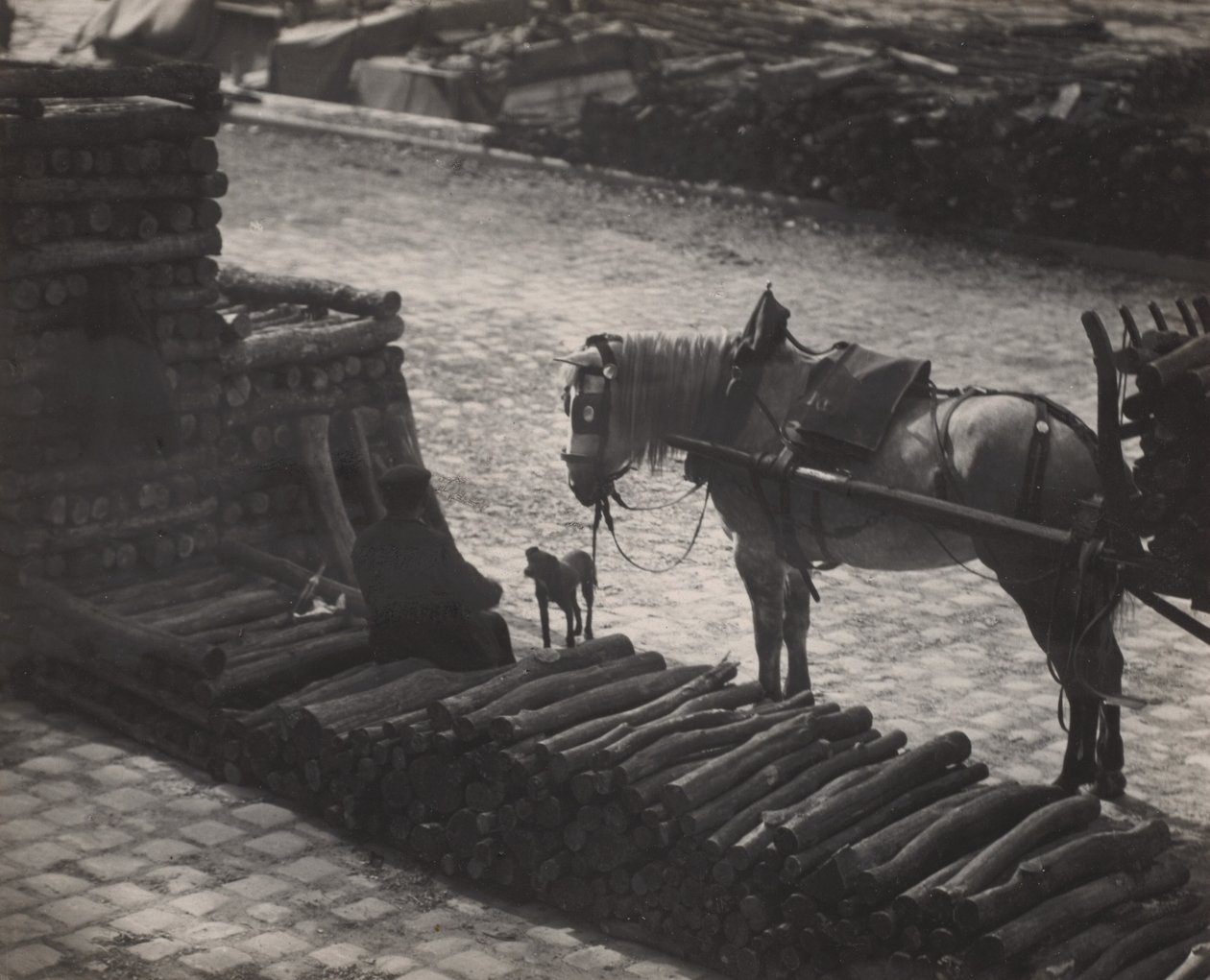 Momentka, Paříž od Alfred Stieglitz