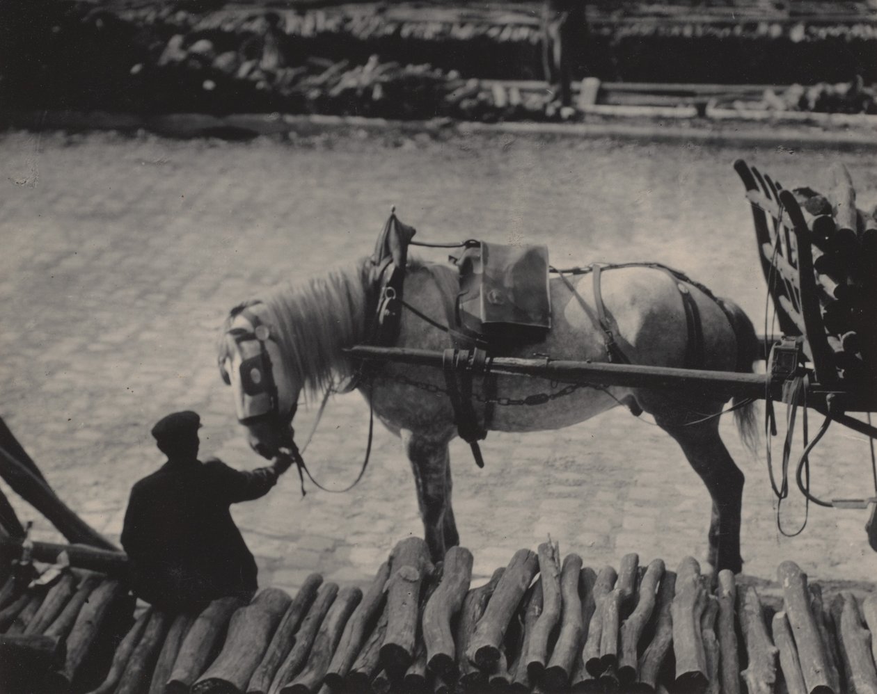 Momentka, Paříž od Alfred Stieglitz