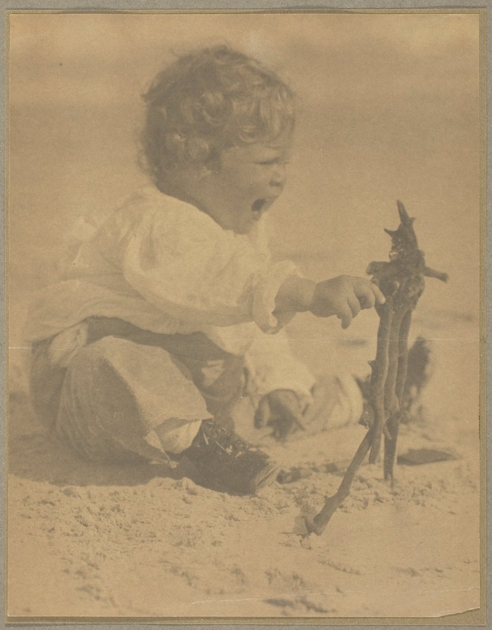 Aileen Flannery od Alfred Stieglitz