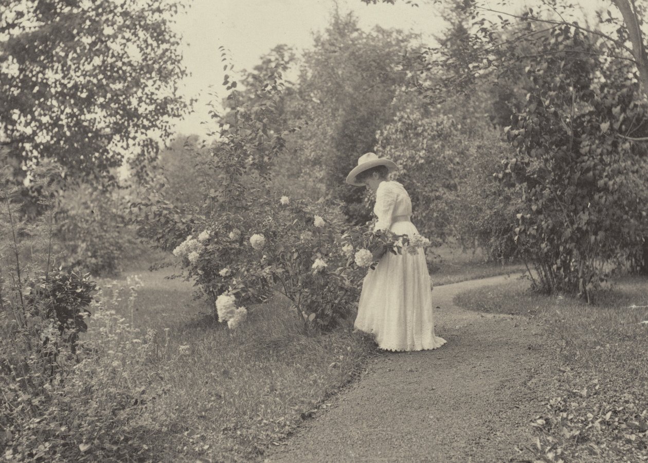 V Oaklawnu od Alfred Stieglitz