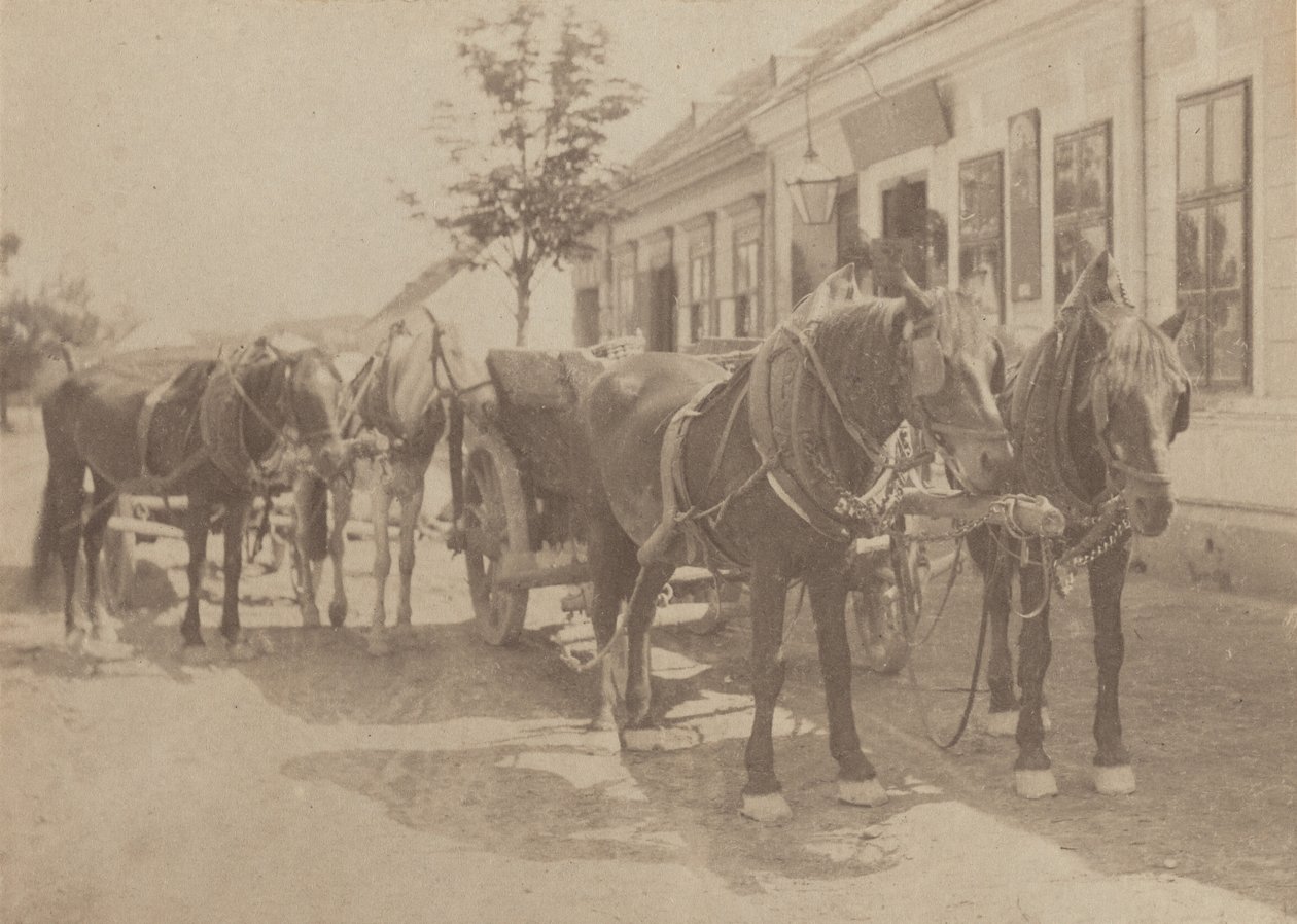 Před hospodou od Alfred Stieglitz