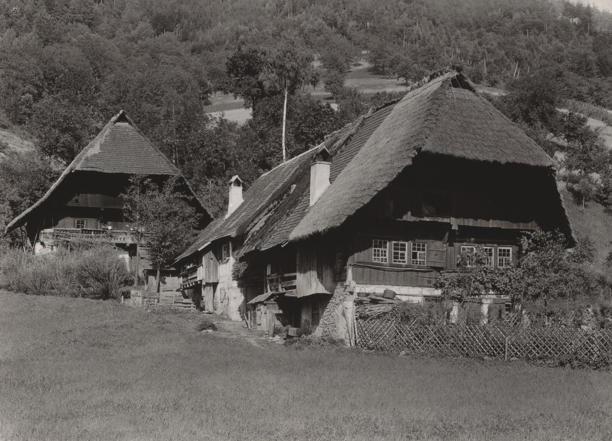 Dům v Černém lese od Alfred Stieglitz