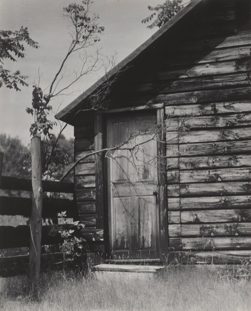 Dveře do chatrče, jezero George od Alfred Stieglitz
