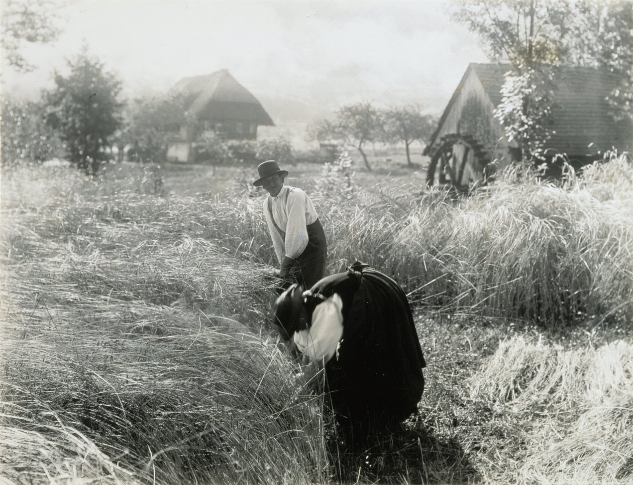Brzy ráno od Alfred Stieglitz