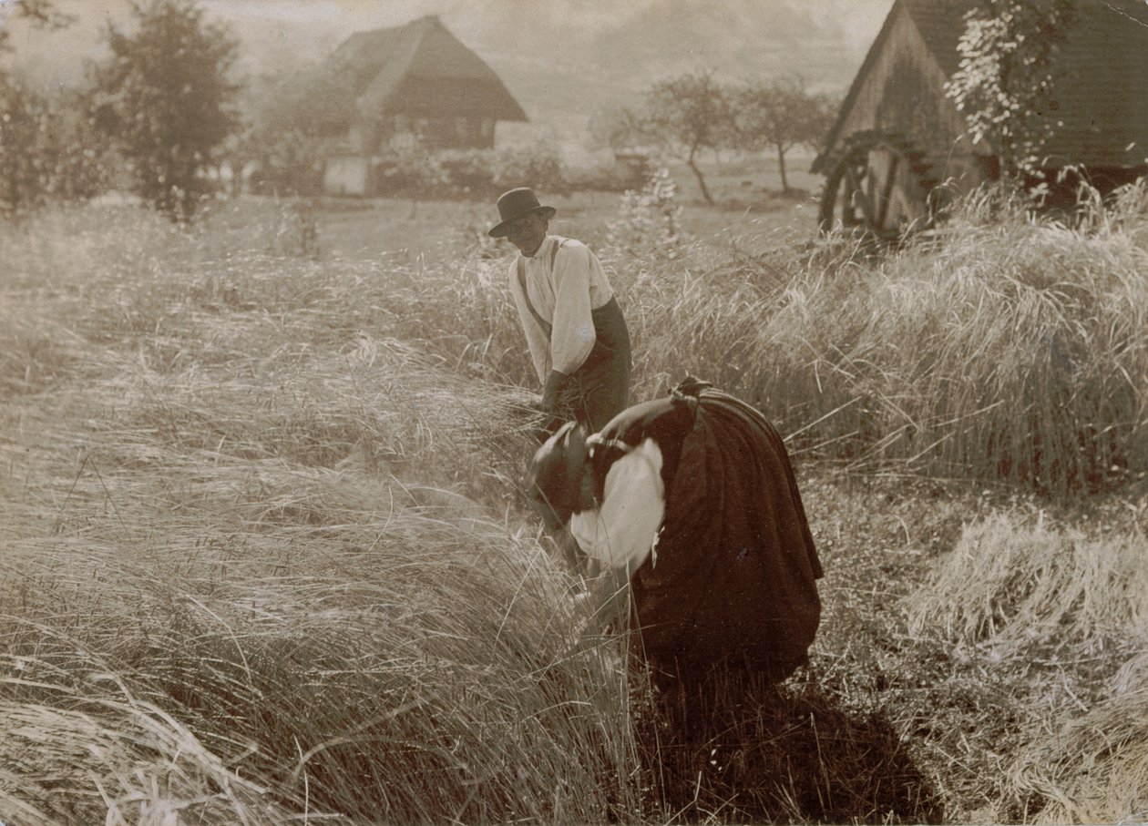 Brzy ráno od Alfred Stieglitz