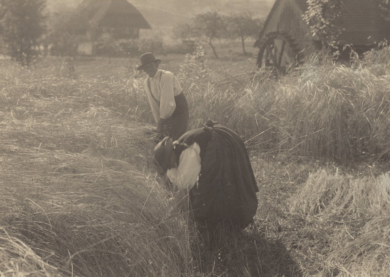 Časné ráno od Alfred Stieglitz