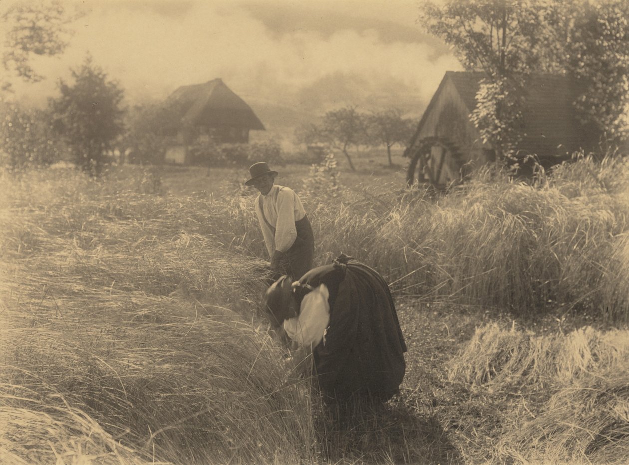 Časné ráno od Alfred Stieglitz