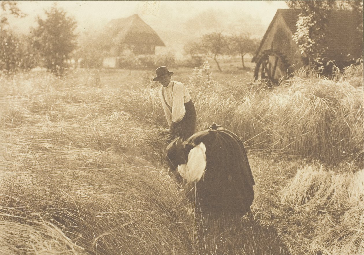 Brzy ráno, 1894. od Alfred Stieglitz
