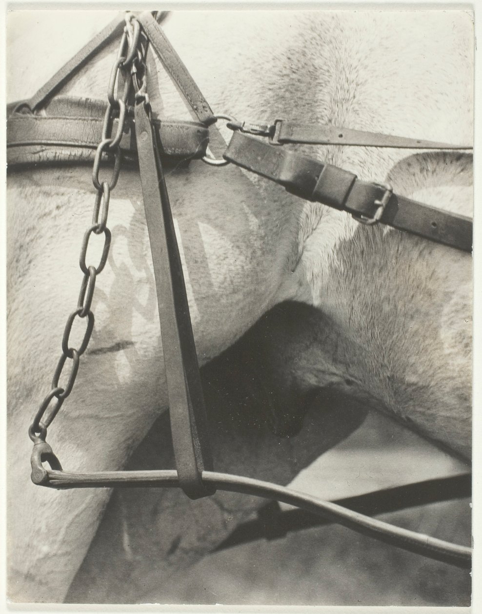 Ekvivalent, Duchovní Amerika od Alfred Stieglitz