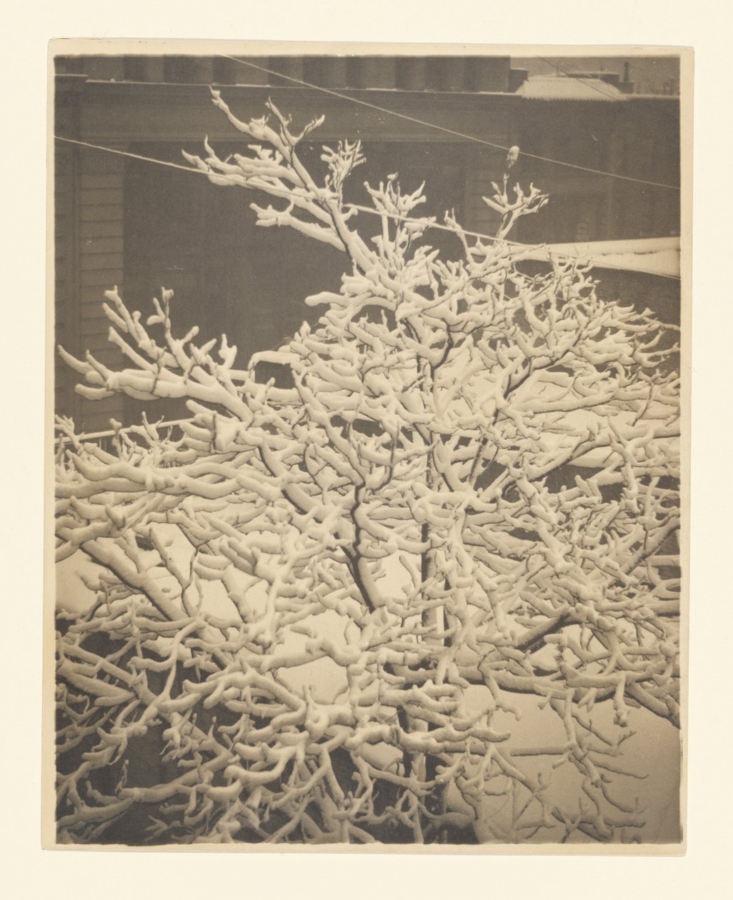 Z zadního okna domu č. 291 od Alfred Stieglitz