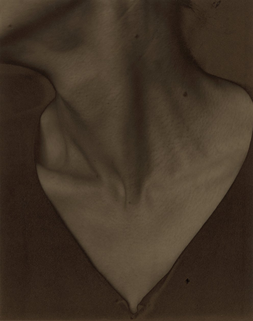 Georgia O’Keeffe – Krk od Alfred Stieglitz