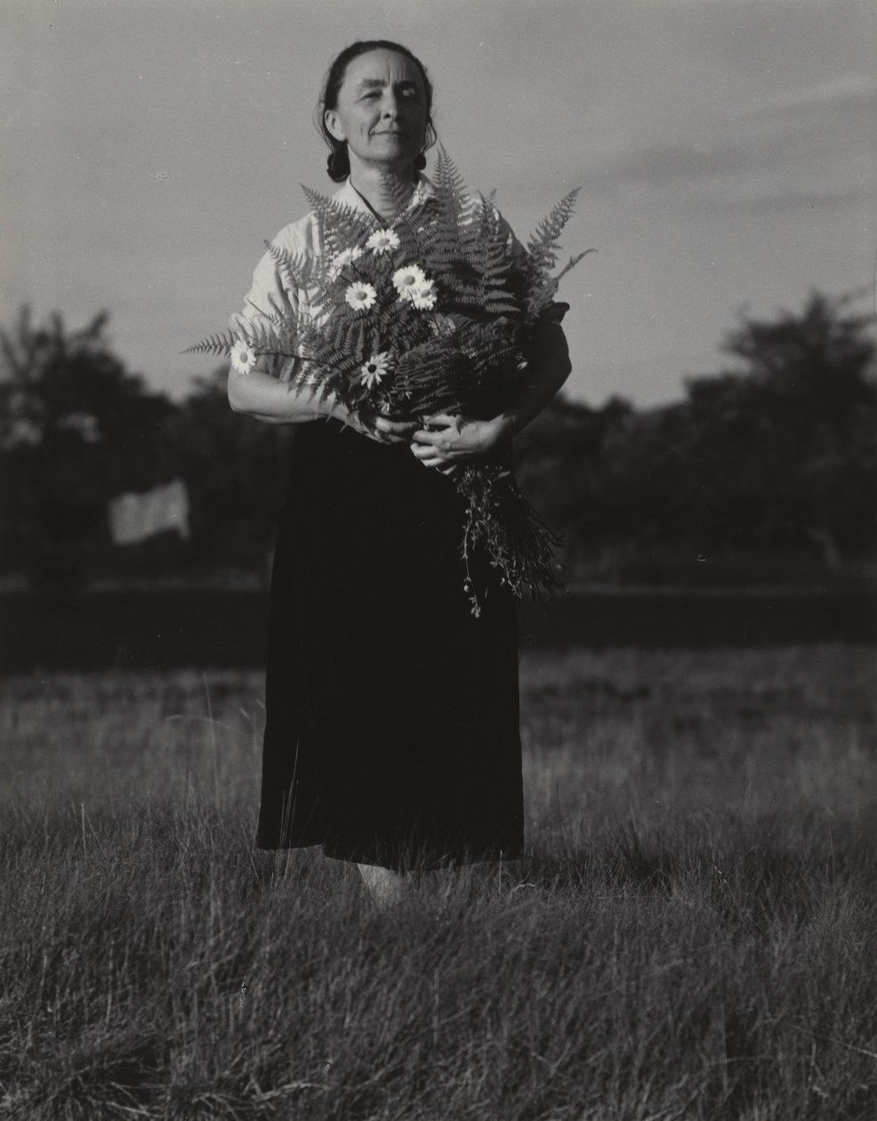 Georgia O’Keeffeová od Alfred Stieglitz
