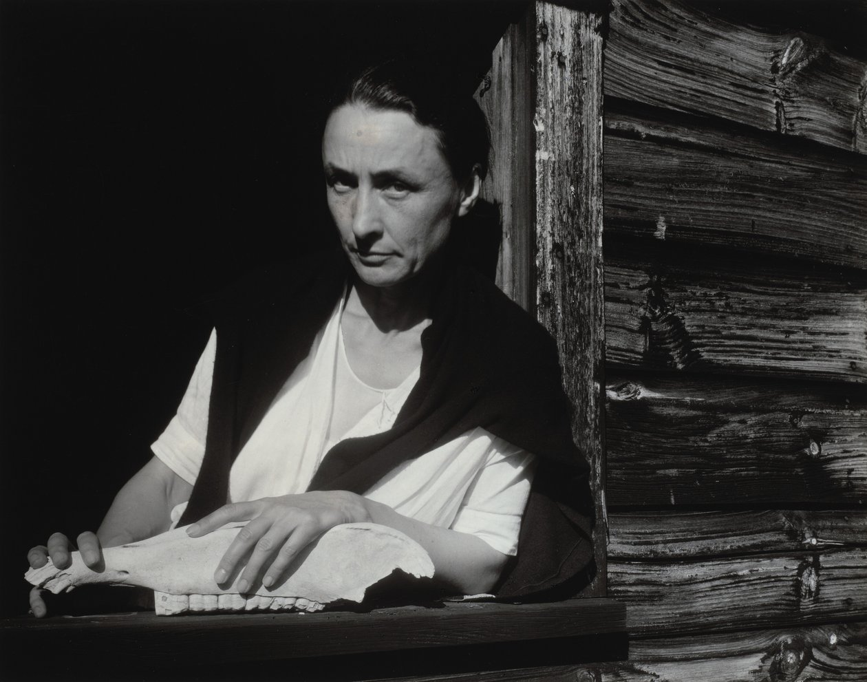Georgia O’Keeffeová od Alfred Stieglitz
