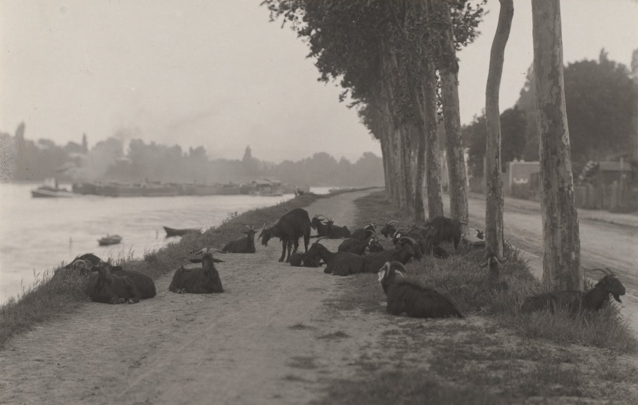 Kozy za Paříží od Alfred Stieglitz