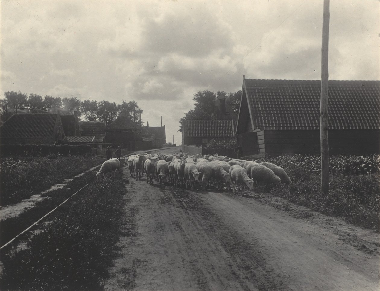 Na pastvu od Alfred Stieglitz
