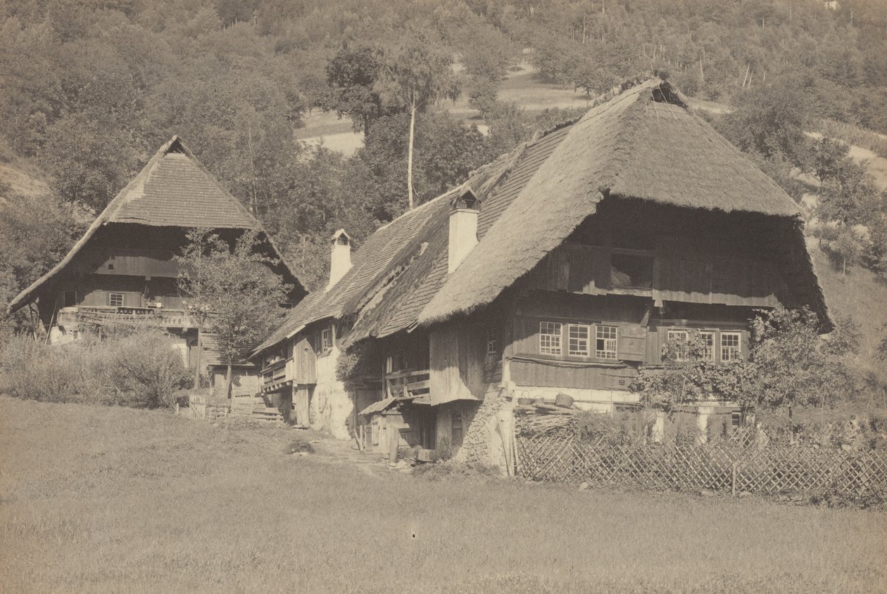 Domy v Gutachu od Alfred Stieglitz