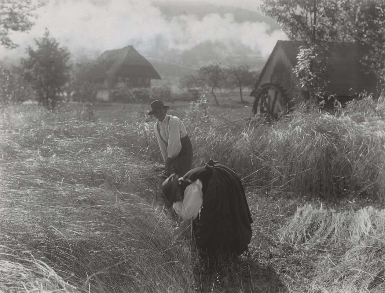 Sklizeň, Černý les od Alfred Stieglitz