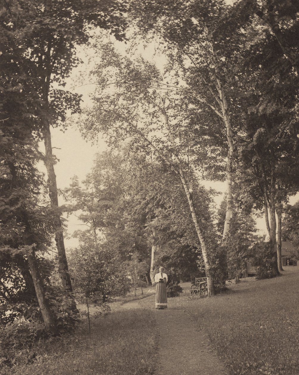 Hedvičina cesta, Oaklawn, jezero George od Alfred Stieglitz