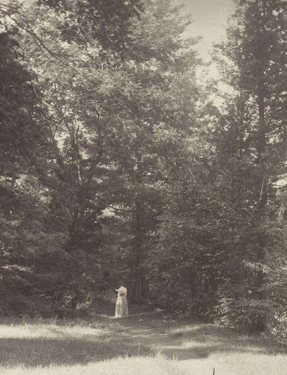 „Hedwigsweg“ II, jezero George od Alfred Stieglitz