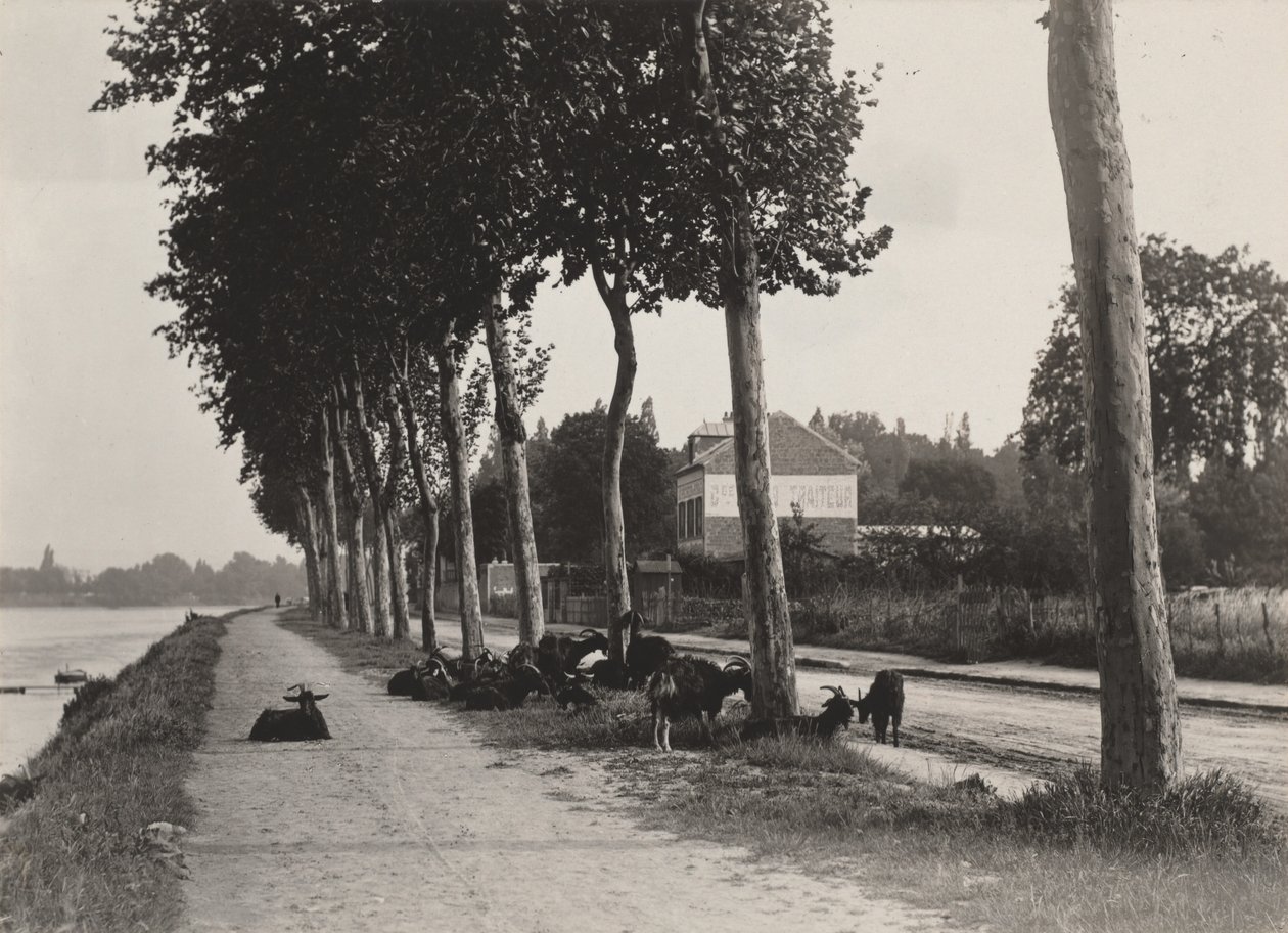 Domů od Alfred Stieglitz