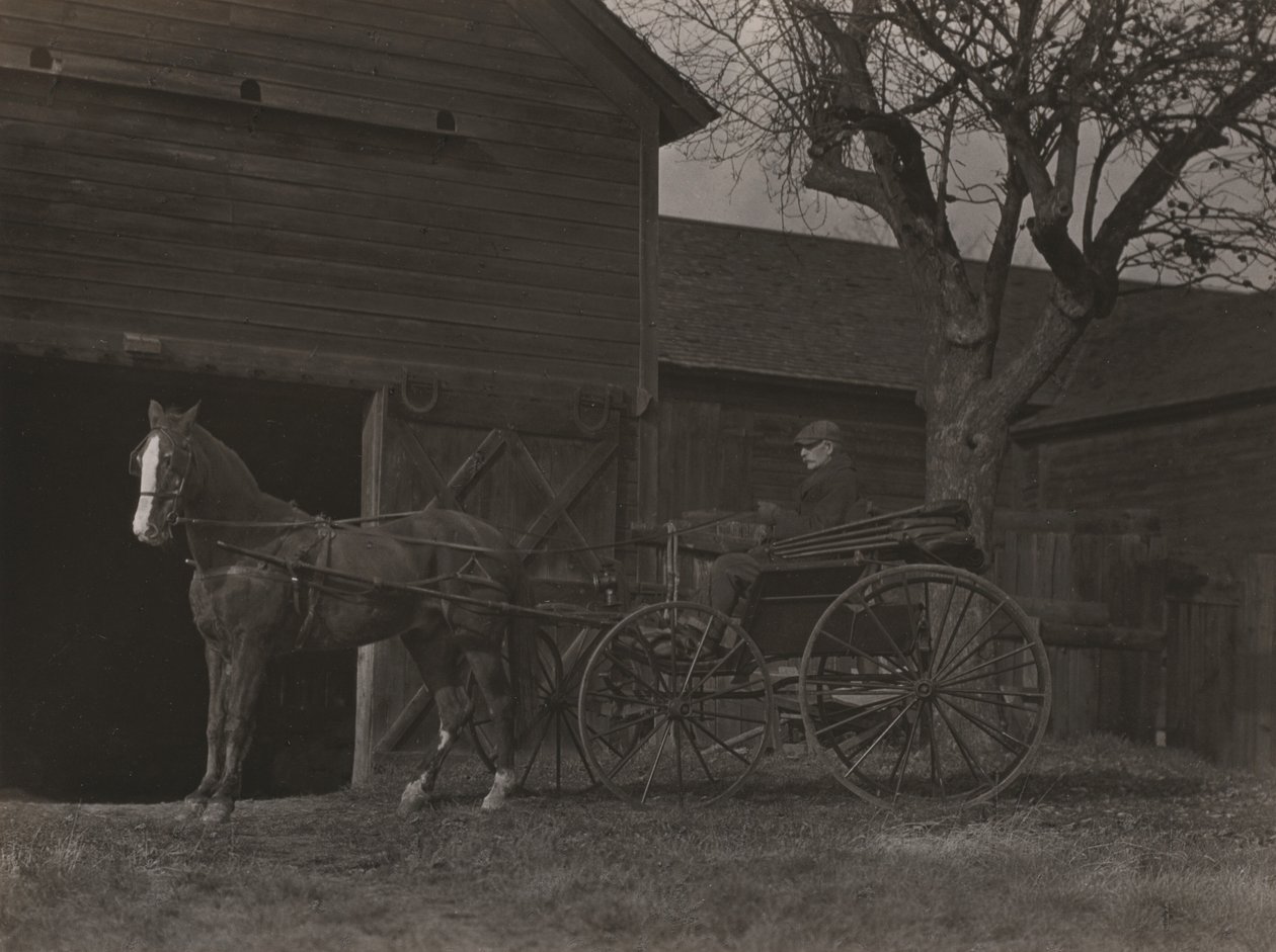 Kůň a kočár od Alfred Stieglitz